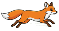 Fox Running